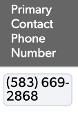 Example field titled: Primary Contact Phone Number. Example value returned: (583)669-2868. Value in the field are separated in a small box, just like multi-select fields display.